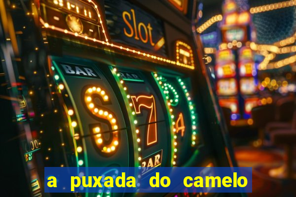 a puxada do camelo no jogo do bicho